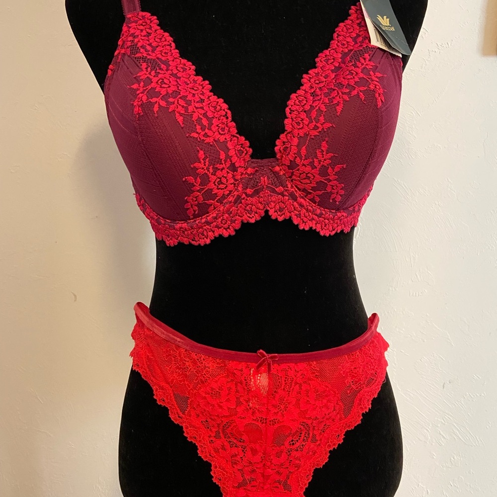 GORGEOUS WACOL LACE BRA & 4 VS THONGS